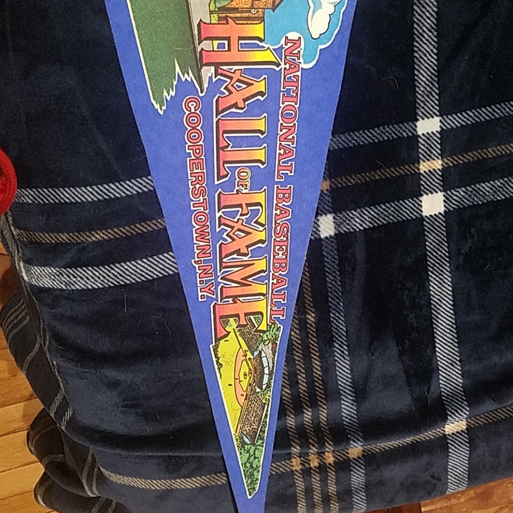 Pennant - Picture 3 of 3
